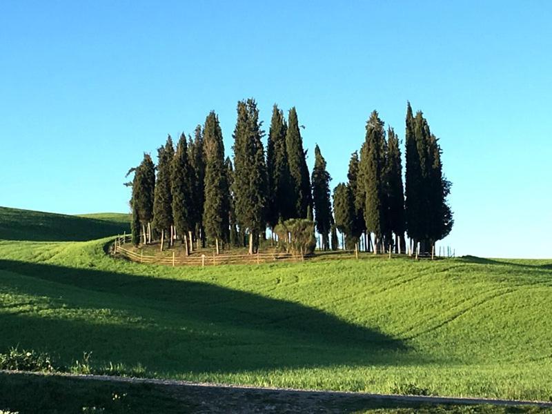 Camera La Margherita San Quirico dʼOrcia Zewnętrze zdjęcie